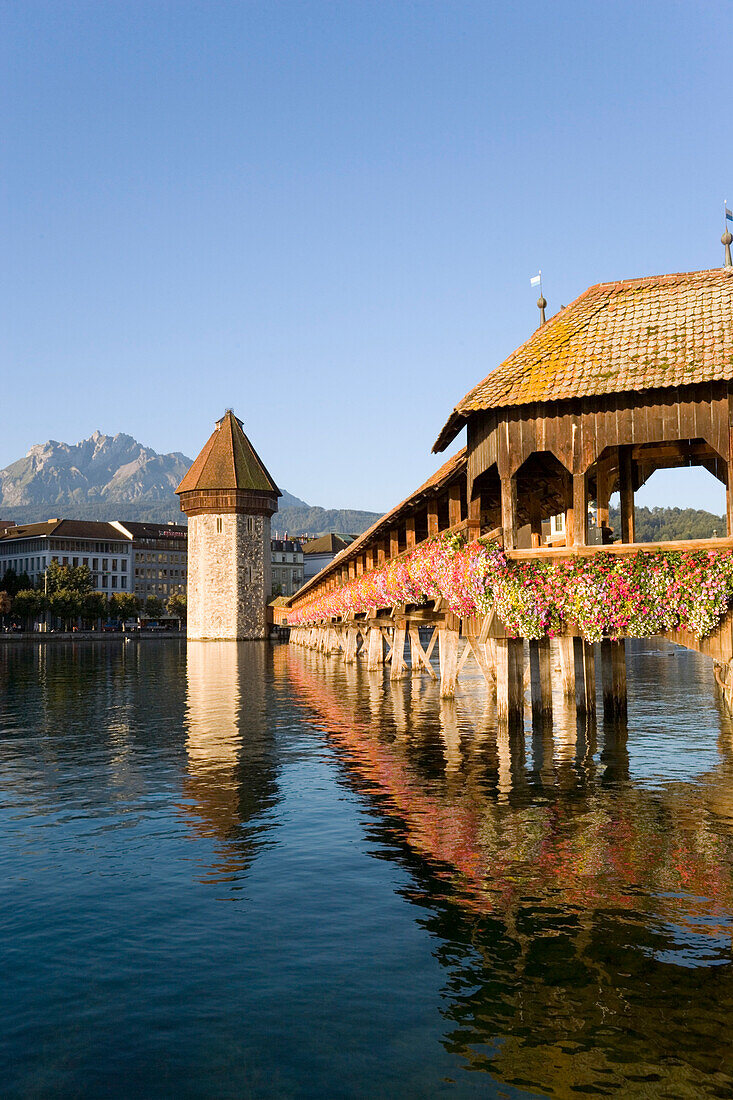 Reuss river with chapel bridge, the oldest covered bridge in Europe and water tower, Lucerne, Canton Lucerne, Switzerland