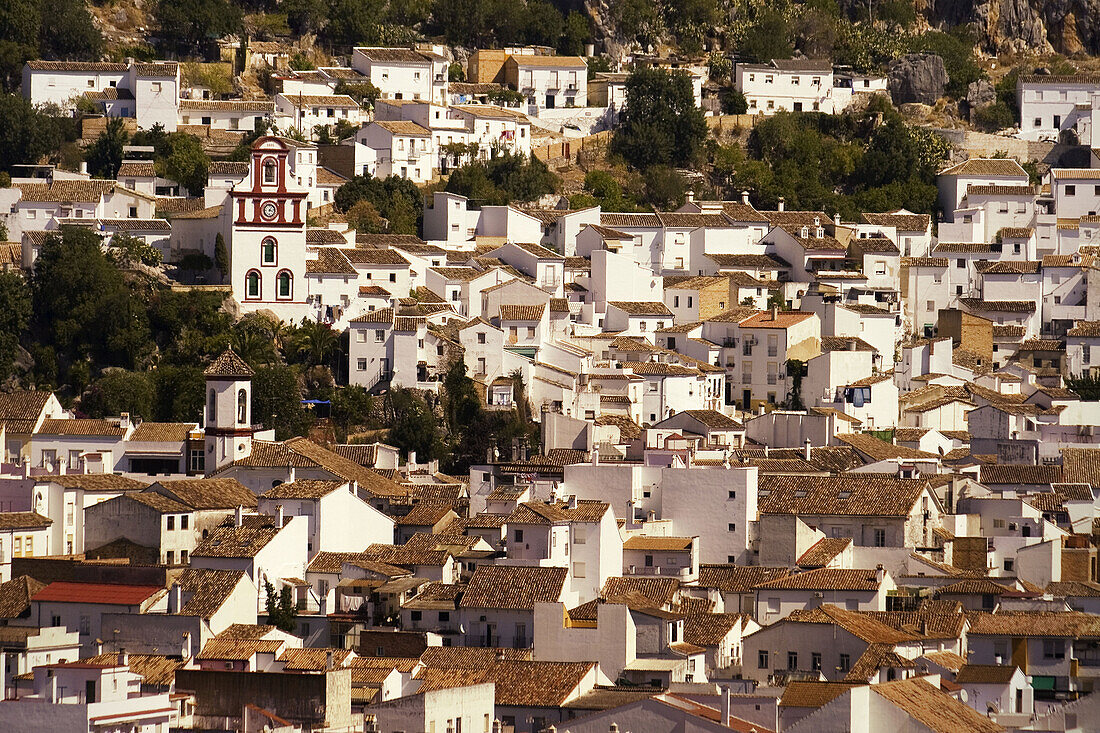 Spain Andalucia pueblo blanco Grazalema