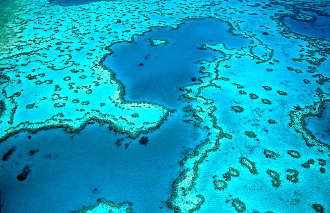 Australien, Queensland, Great Barrier Reef, Hardy reef
