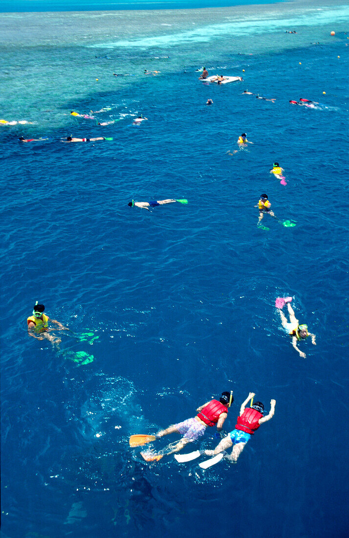 Snorkeling, Great Barrier Reef, Queensland, Australia