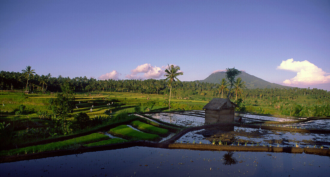 Mt. Agung, rice fields, Indonesia