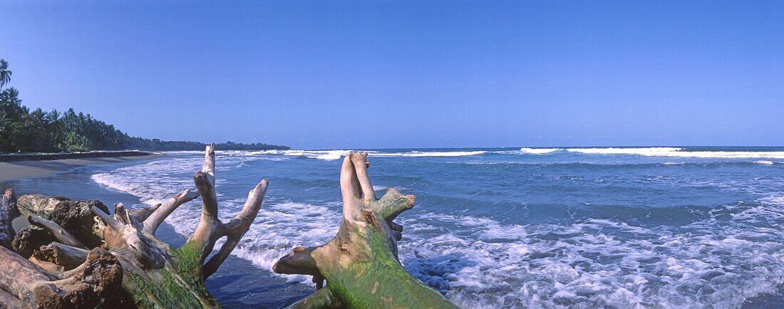 Trunks on beach, Cauhita, Costa Rica