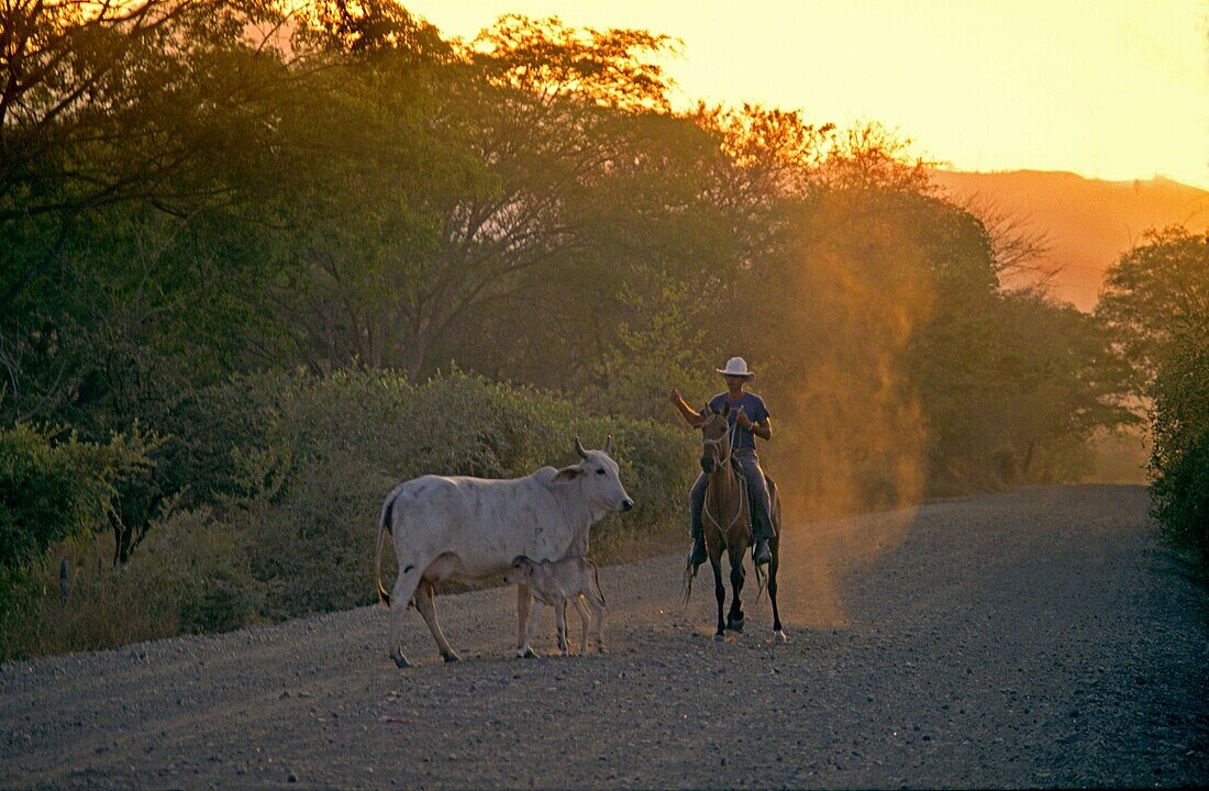 gaucho, Guanacaste, Costa Rica