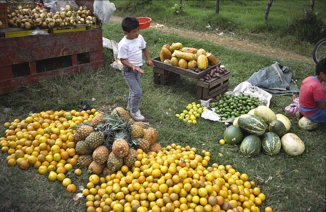 Costa Rica, Tropische Früchte, Strassenverkauf, Junge