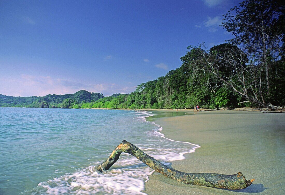 Costa Rica, Maunel Antonio Nationalpark, wilder Strand