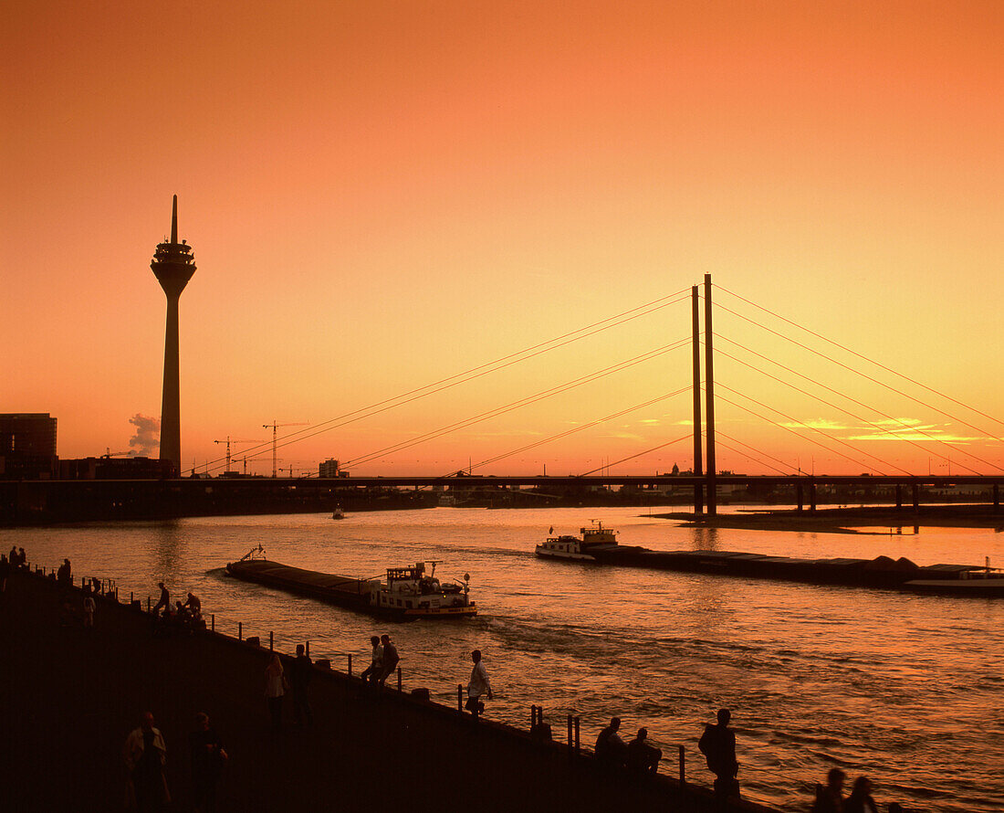 Fernsehturm und Rhein bei Sonnenuntergan, Rheinkniebrücke, Düsseldorf