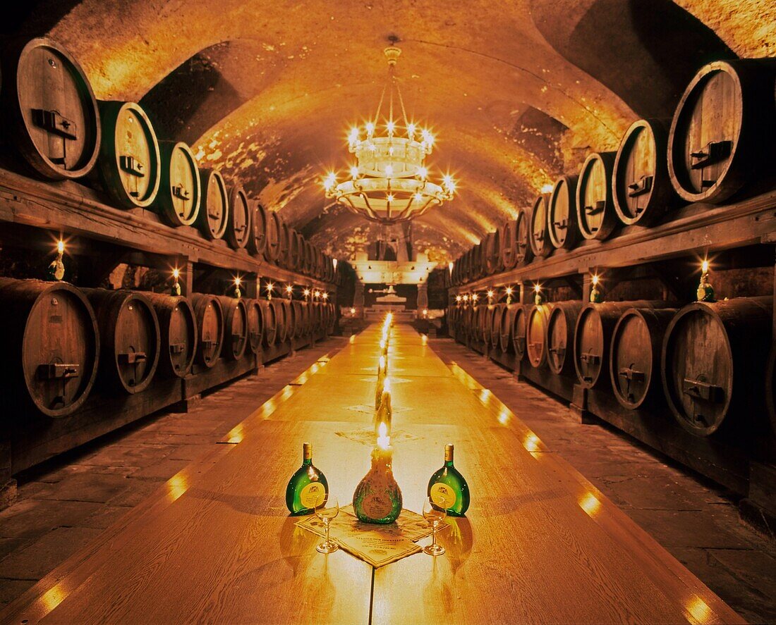 Wine cellar of Residence, Wuerzburg, Germany