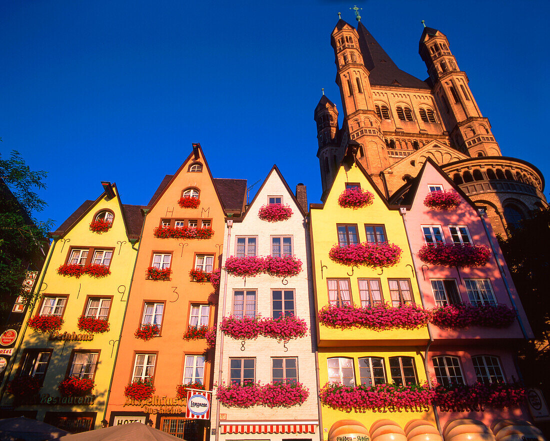 Cologne, Gross St,  Martin, fishing market, colorful facas