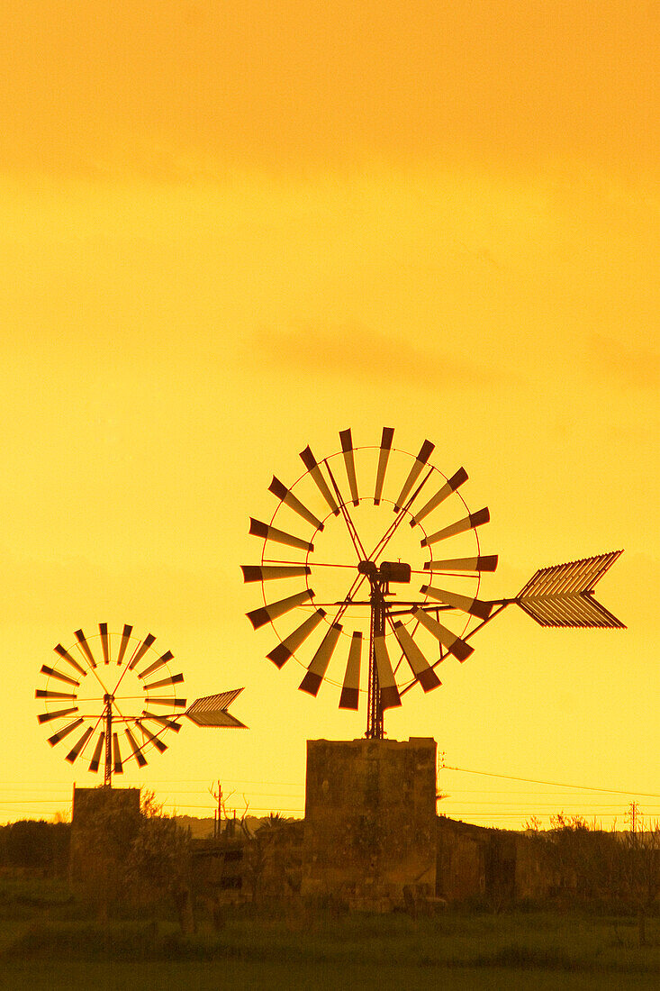 Mallorca, Windmühlen bei Sonnenuntergang in Sant Jordi