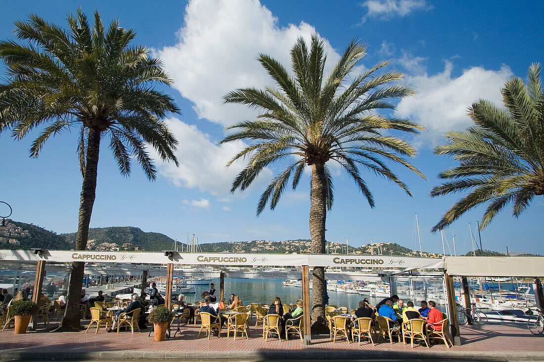 Mallorca, Poirt d Andratx, Cafe, palm trees