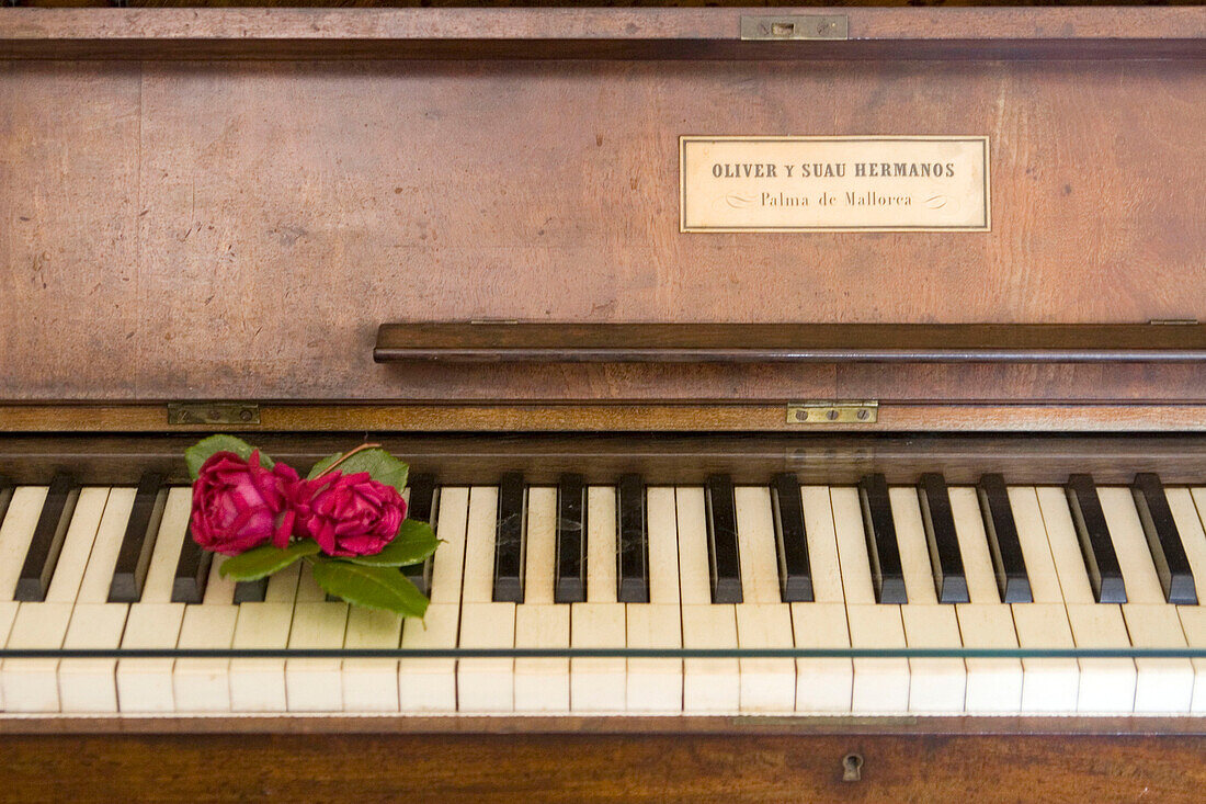 Kartause Valmossa, Chopin Museum, piano, Rosen, Mallorca