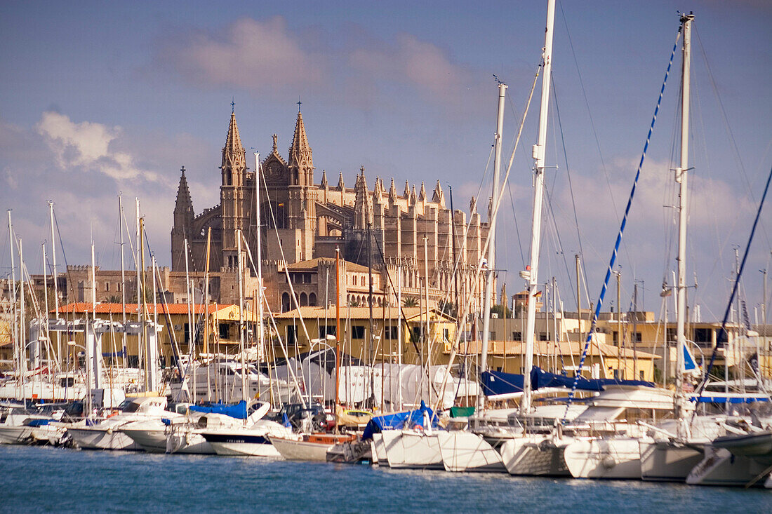 Spain, Mallorca ,cathedral, port