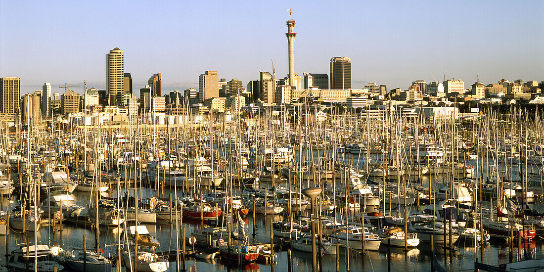 new zealand, Auckland, harbour at twilight