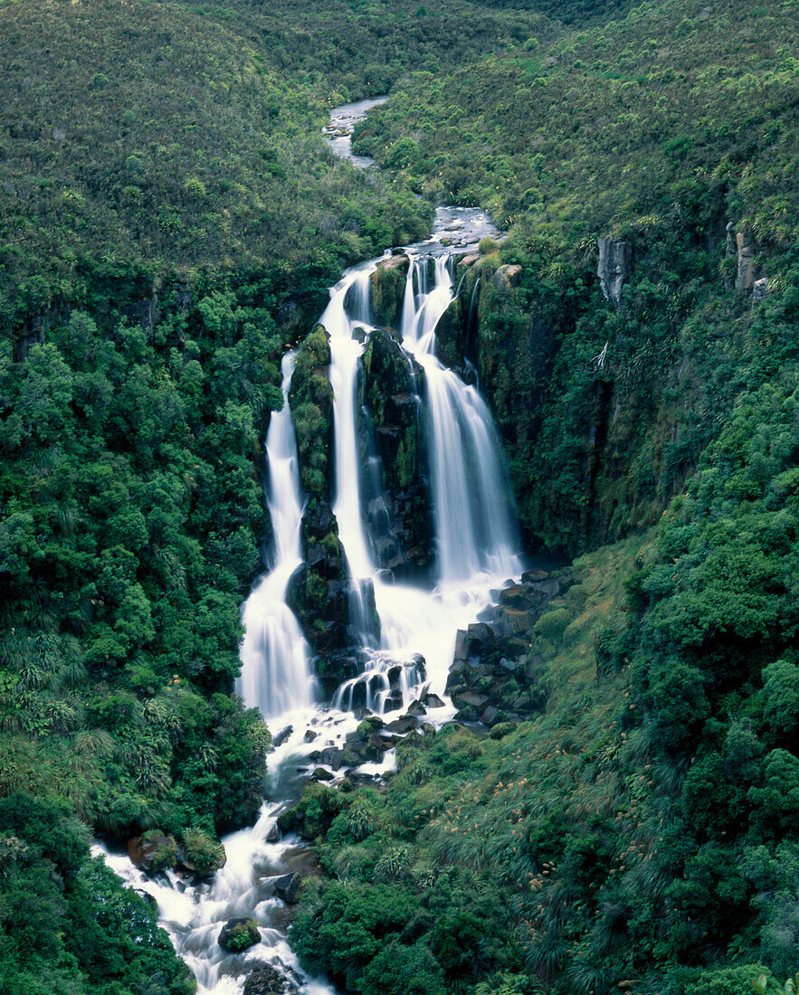 Neuseeland Nordinsel, Waipunga, Waimangu Wasserfall zwischen Lake Taupo und Napier
