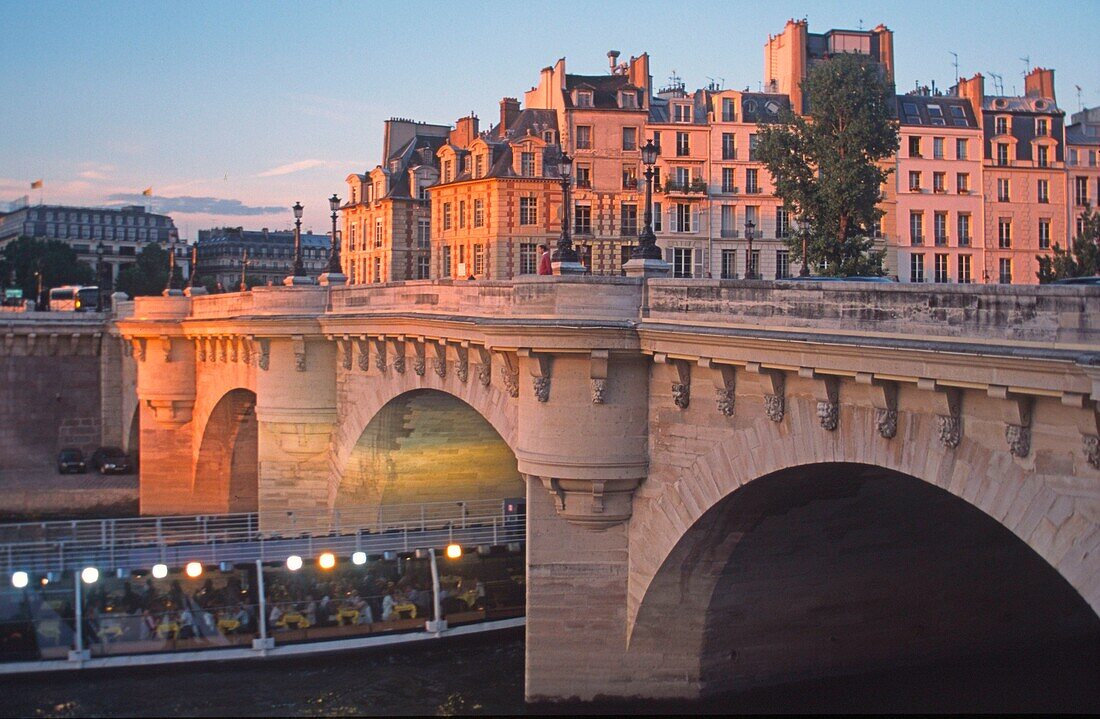 Seine, Paris, Pont Neuf, France