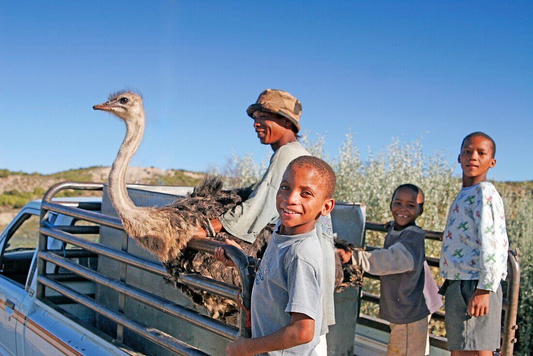 people with Ostrich, Oudtshorn, South Africa