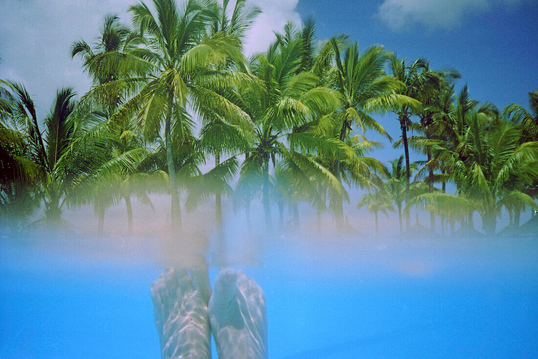 Palmen, Wasser, Split level, Mauritius
