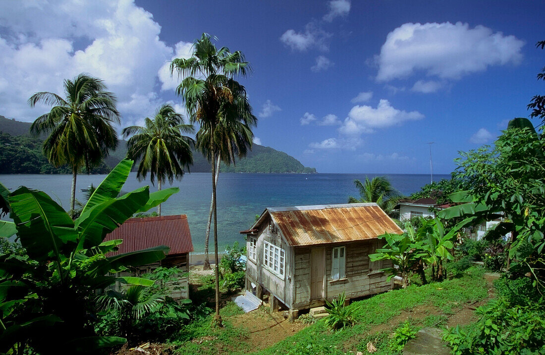 Karibik, Kleine Antillen, Tobago, Charlotteville, Man of war bay, Hütte