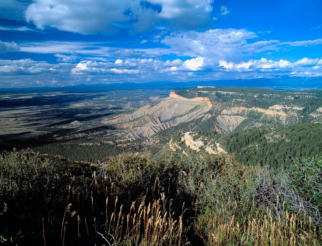 USA üSuedwest Colorado Mesa Ver