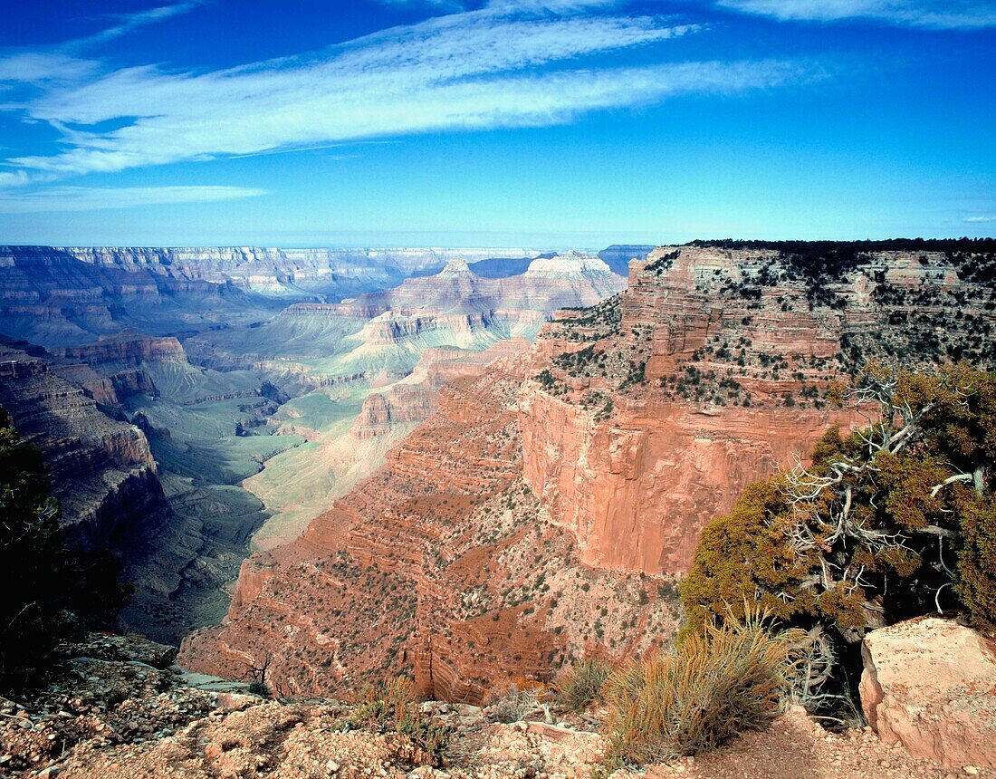 North Rim View Point, Cape Royal, Grand Canyon, Arizona, USA