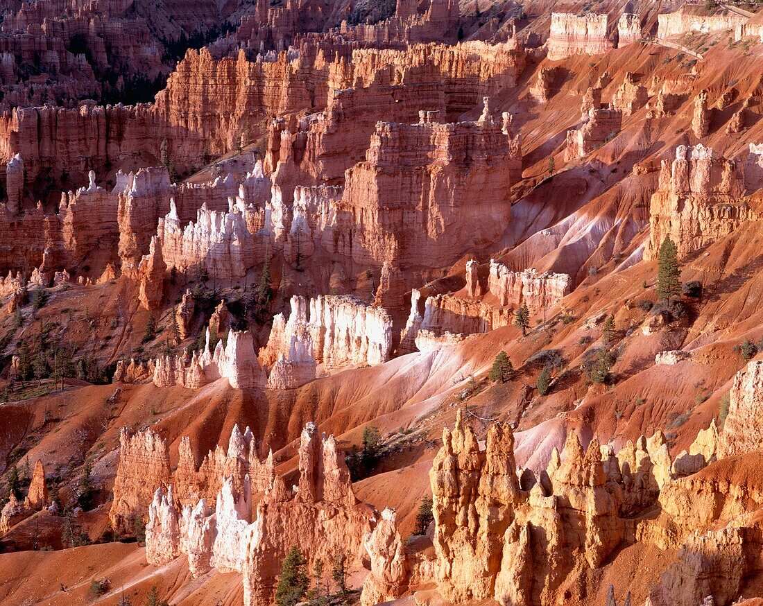 Bryce Canyon, Utah, USA