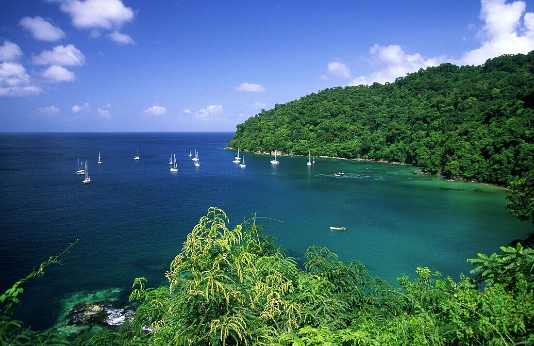 Kleine Antillen, Karibik, Tobago, Pirates bay bei Charlotteville