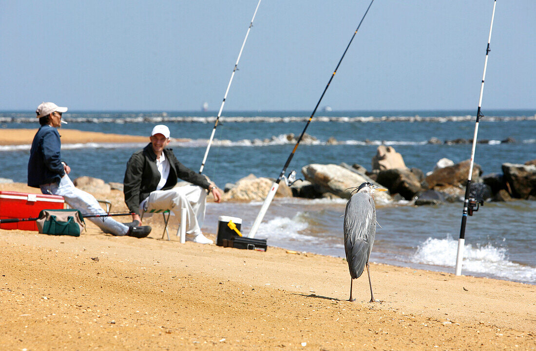 Sandy Point, Chesapeake Bay, Maryland, United States