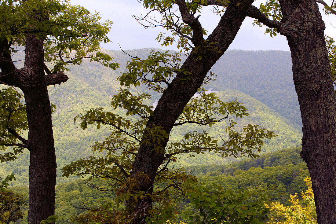 Shenandoah, Virginia, USA