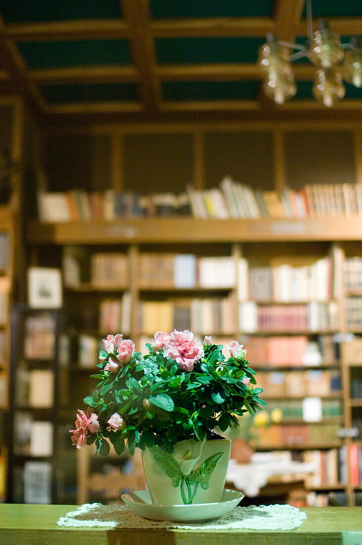 Flowers in Library, Weimar, Thueringen, Germany