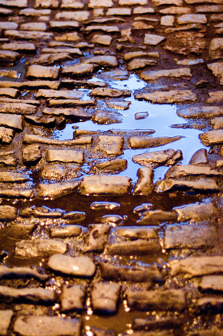 Puddle on cobblestone, Weimar, Thuringia, Germany