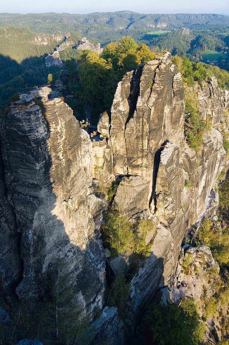 Deutschland, Sachsen, Bastei, Elbsandsteingebirge, Felsen, Baum