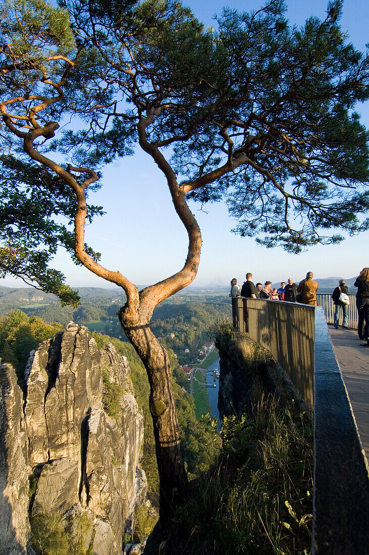 Deutschland, Sachsen, Bastei, Elbsandsteingebirge, Felsen, Baum, no mr, blauer Himmel, belebt