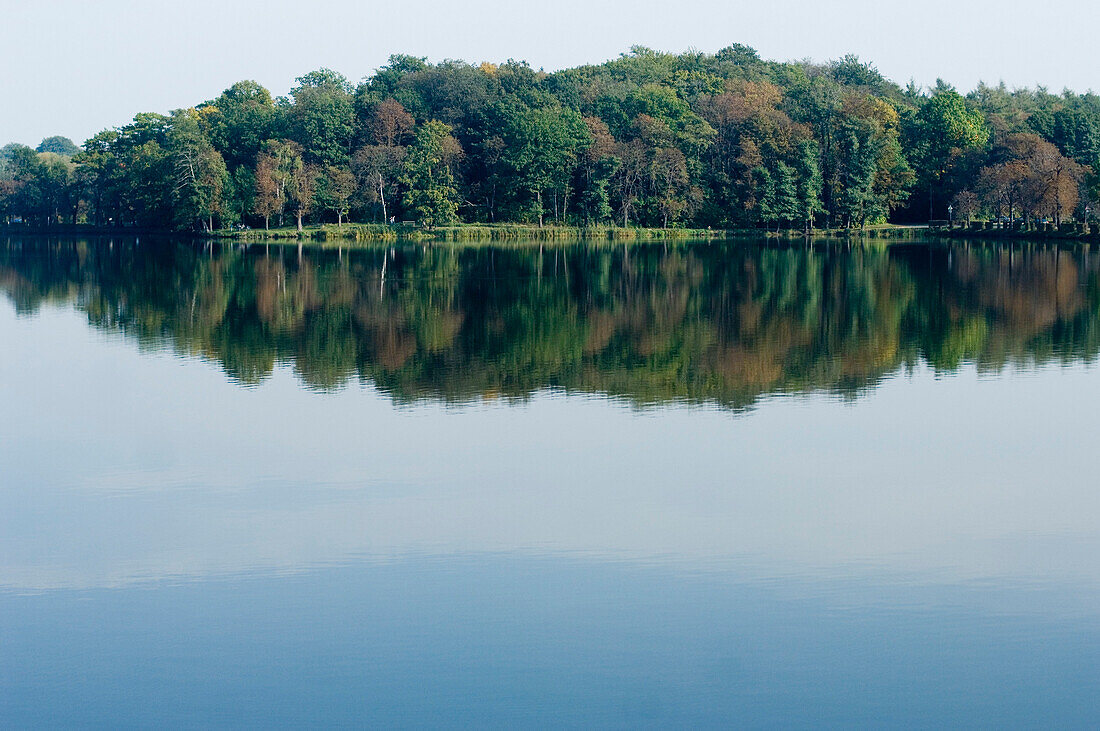 Water, blue sky, and wood, Saxony, Germany