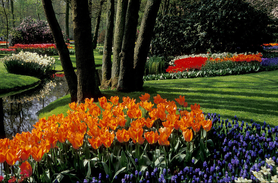 Keukenhof near Lisse, Netherlands, Europe