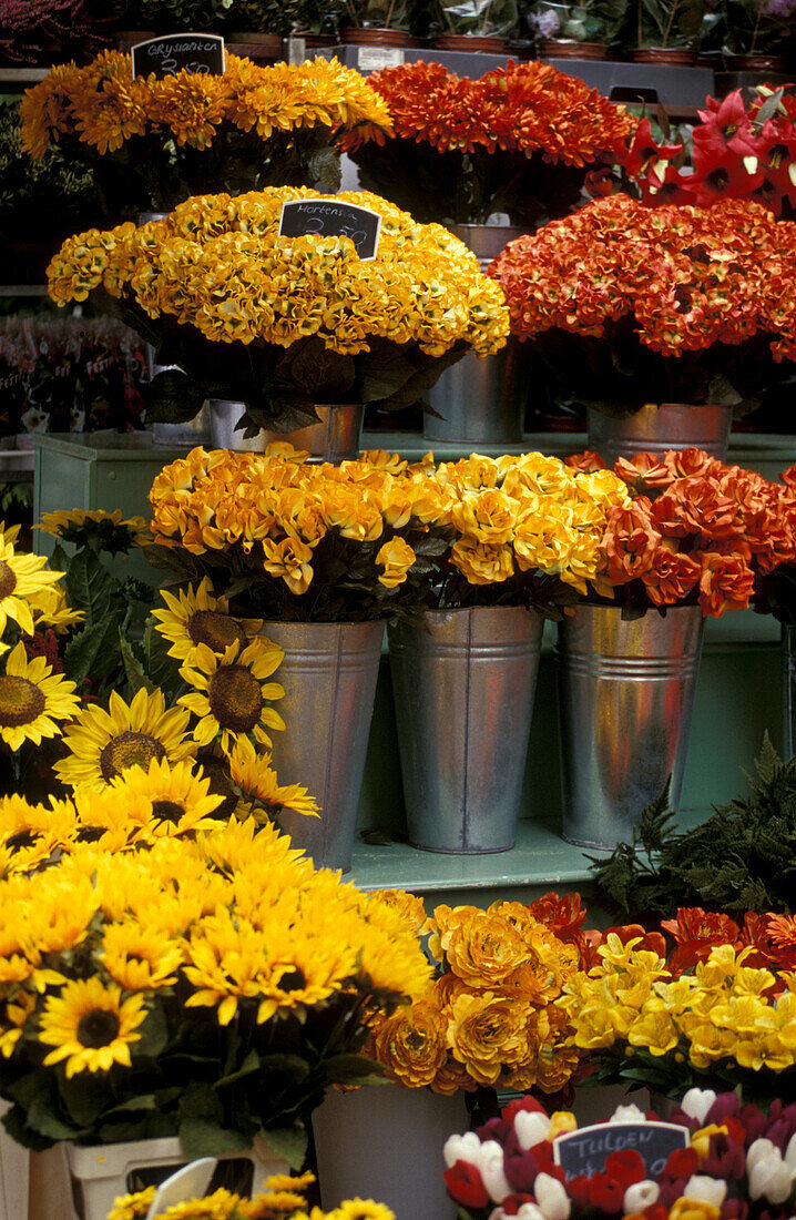 Flowermarket, Amsterdam, Holland, Netherlands