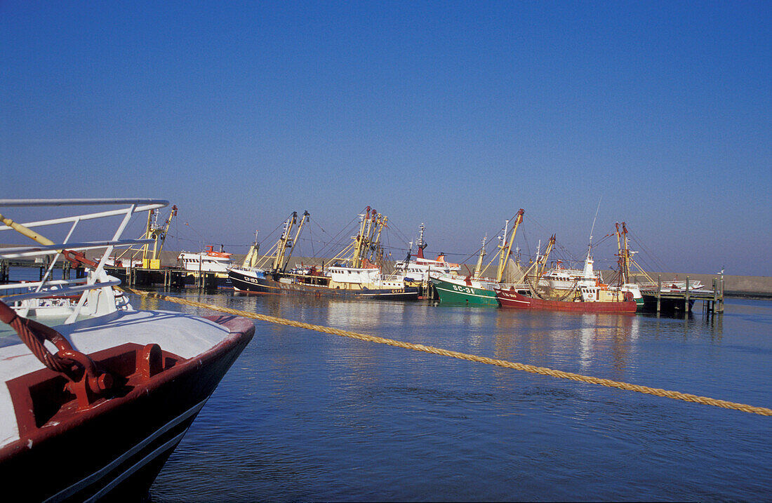 Harlingen, harbour, Netherlands, Europe