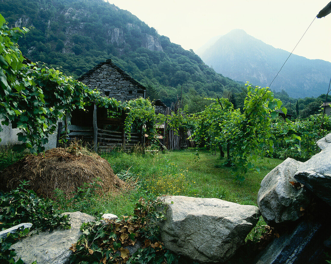 Maggia Valley, Ticino, Switzerland