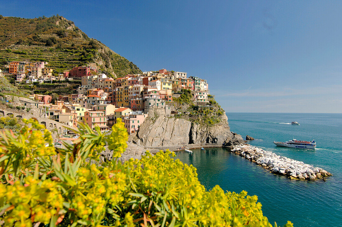 Coastal town Manarola in the sunlight, Cinque Terre, Liguria, Italy, Europe