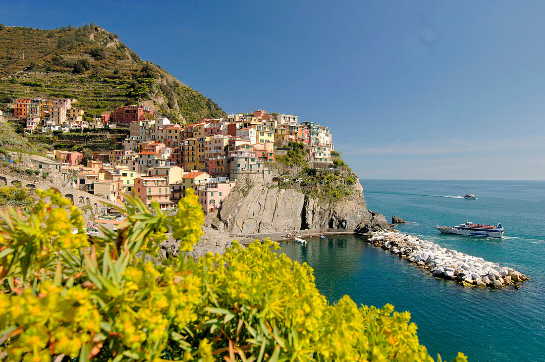 Die Küstenstadt Manarola im Sonnenlicht, Cinque Terre, Ligurien, Italien, Europa