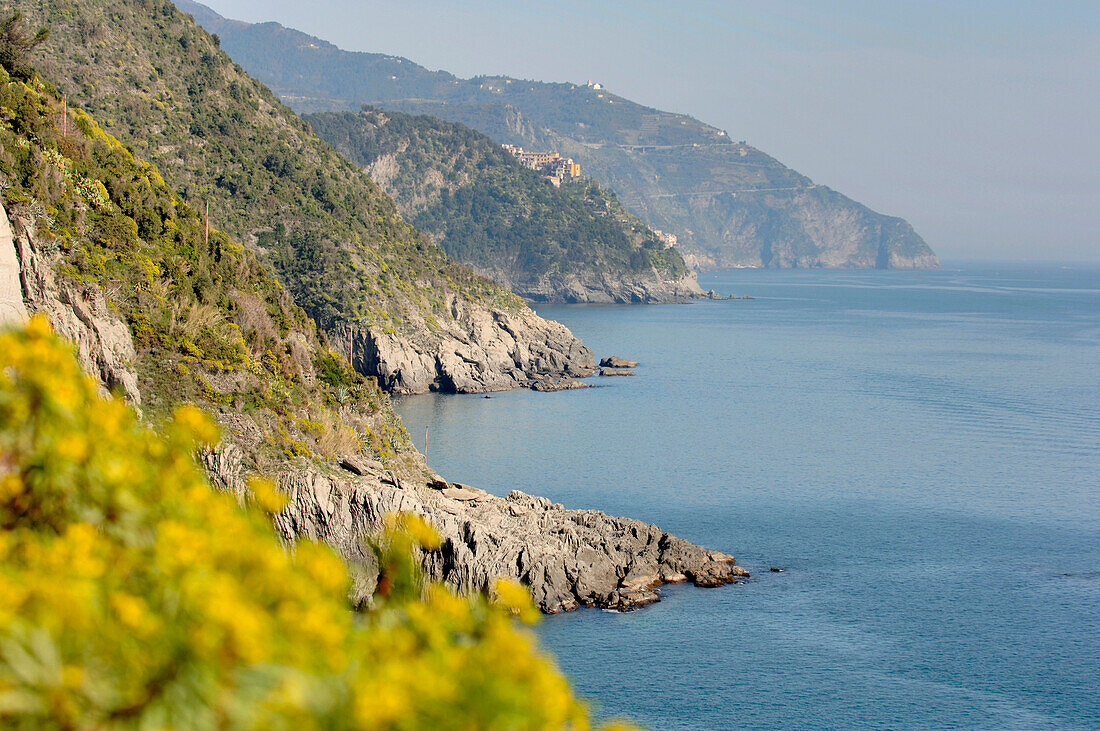 Manarola, Cinque Terre, Liguria, Italy