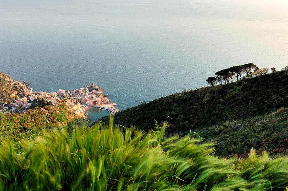 Vernazza, Cinque Terre, Liguria, Italy