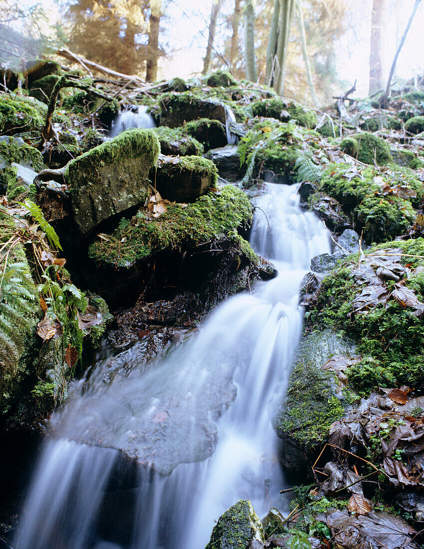 Wasserfall, Eifel, Nordrhein-Westfalen, Deutschland