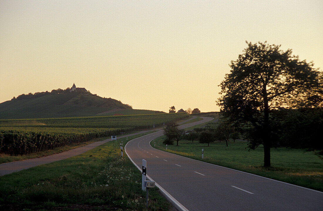 Landschaft bei Güglingen, Baden-Württemberg, Deutschland, Europe