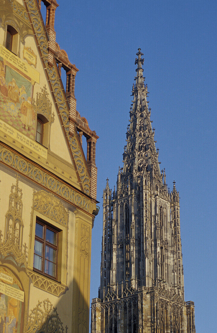 Rathaus und Münster, Ulm, Baden-Württemberg, Deutschland