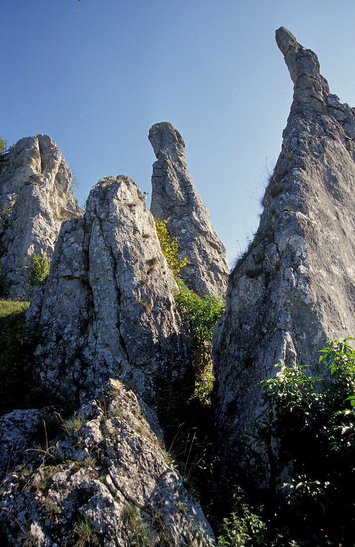 Eselsburger Tal, Baden-Württemberg, Deutschland, Europe