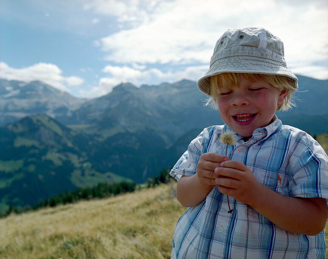 Smiling boy with dandelion clock, Simmental vallley, Bernese Alps, Canton of Bern, Switzerland