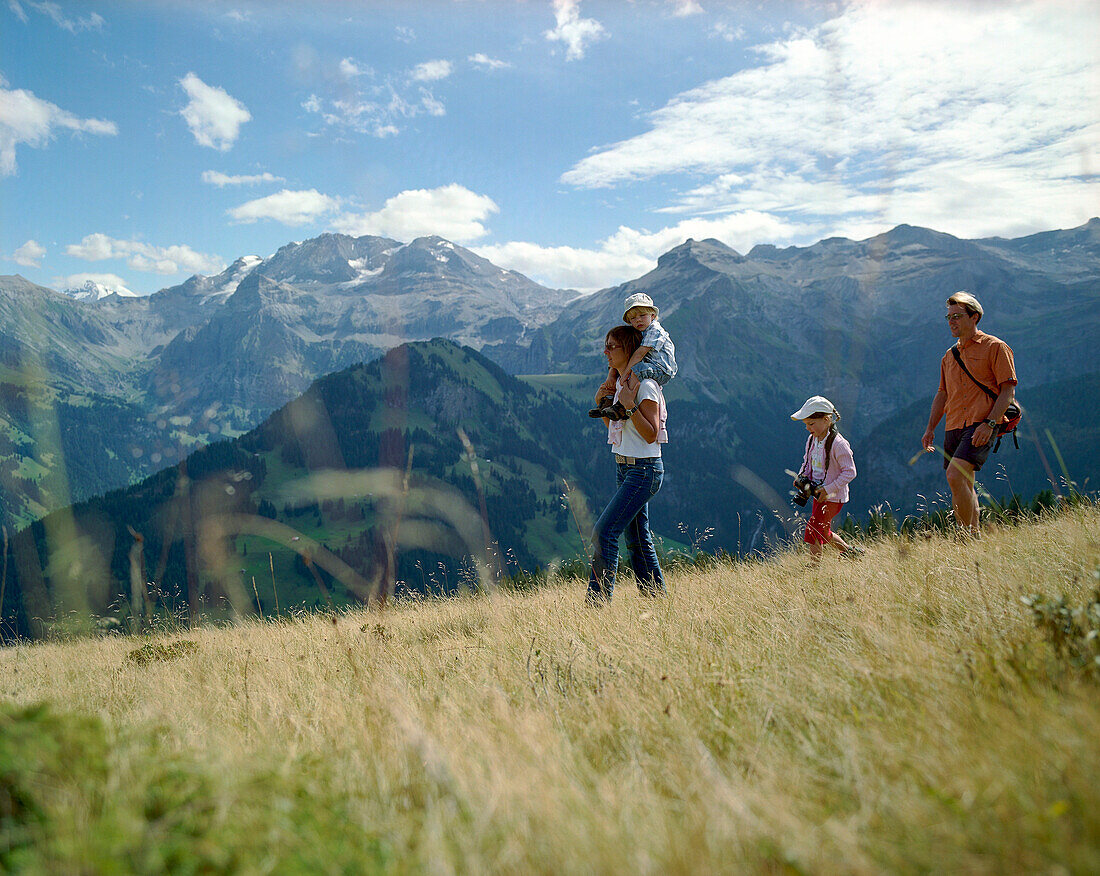 Familie wandert über Bergwiese, Simmental, Berner Alpen, Kanton Bern, Schweiz