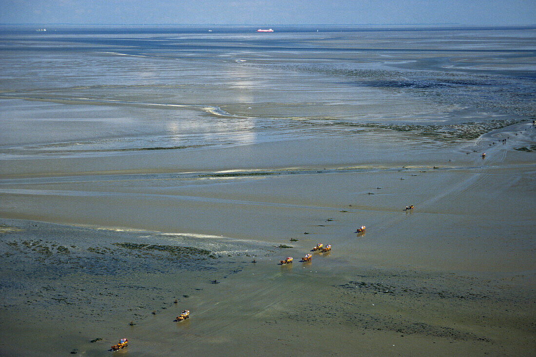 Pferdekutschen zur Insel Neuwerk, Cuxhaven, Niedersachsen, Deutschland