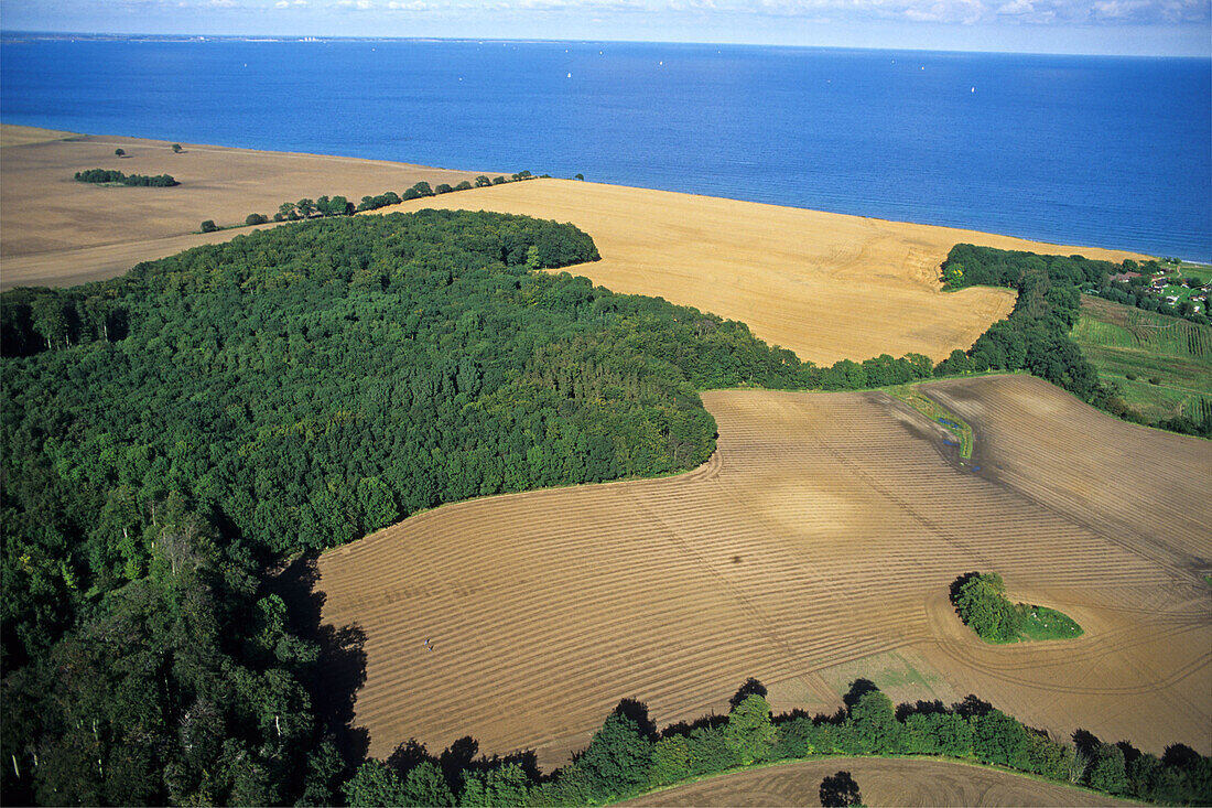 aerial photo, Bay of Kiel, Baltic Sea coast,  ploughed fields, Schleswig Holstein, northern Germany
