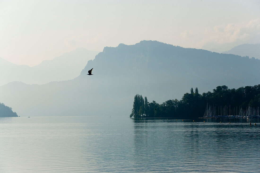 View over Lake Lucerne, Lucerne, Canton Lucerne, Switzerland